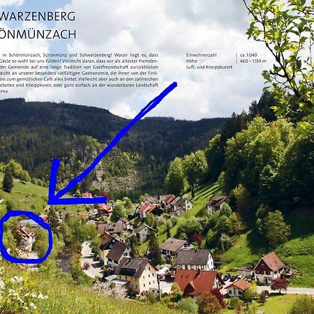 Adieu Alltag: Pension Oesterle Im Schwarzwald Schonmunzach Ngoại thất bức ảnh