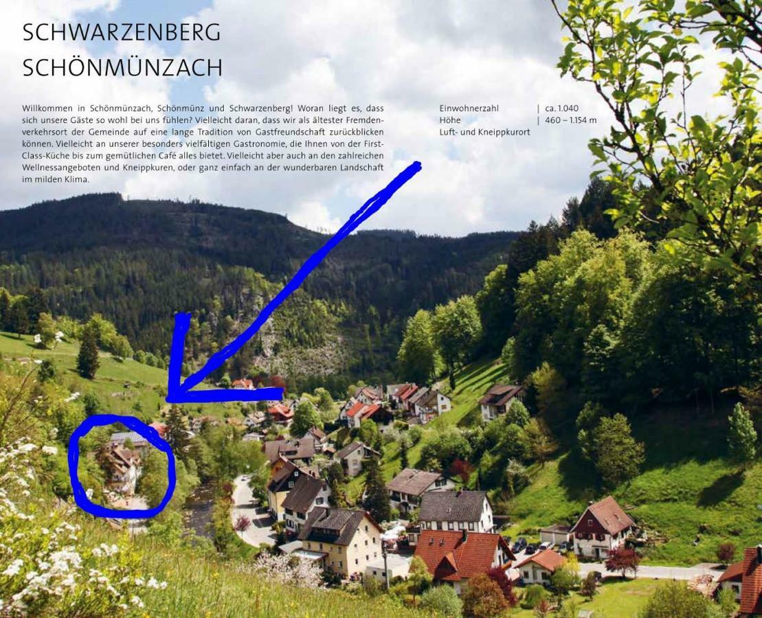 Adieu Alltag: Pension Oesterle Im Schwarzwald Schonmunzach Ngoại thất bức ảnh