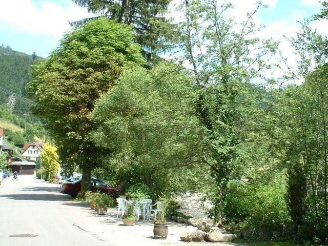Adieu Alltag: Pension Oesterle Im Schwarzwald Schonmunzach Ngoại thất bức ảnh