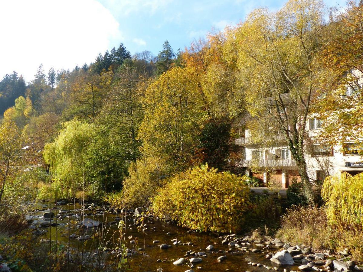 Adieu Alltag: Pension Oesterle Im Schwarzwald Schonmunzach Ngoại thất bức ảnh