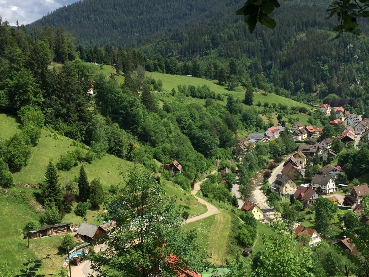 Adieu Alltag: Pension Oesterle Im Schwarzwald Schonmunzach Ngoại thất bức ảnh