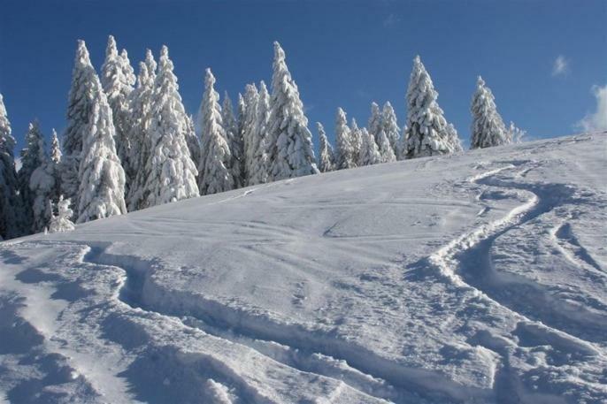 Adieu Alltag: Pension Oesterle Im Schwarzwald Schonmunzach Ngoại thất bức ảnh