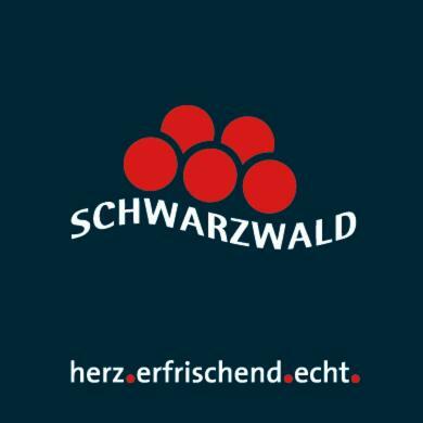 Adieu Alltag: Pension Oesterle Im Schwarzwald Schonmunzach Ngoại thất bức ảnh